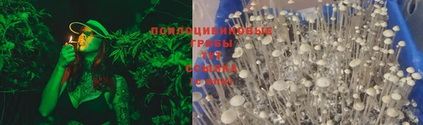 дживик Осинники
