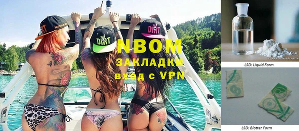 индика Нязепетровск