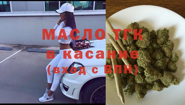 дживик Осинники