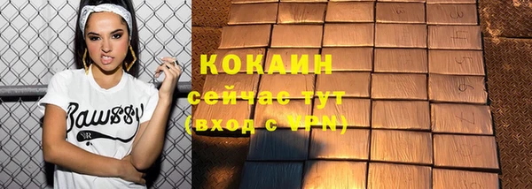 индика Нязепетровск