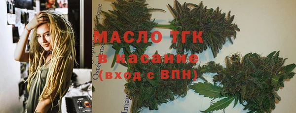 индика Нязепетровск