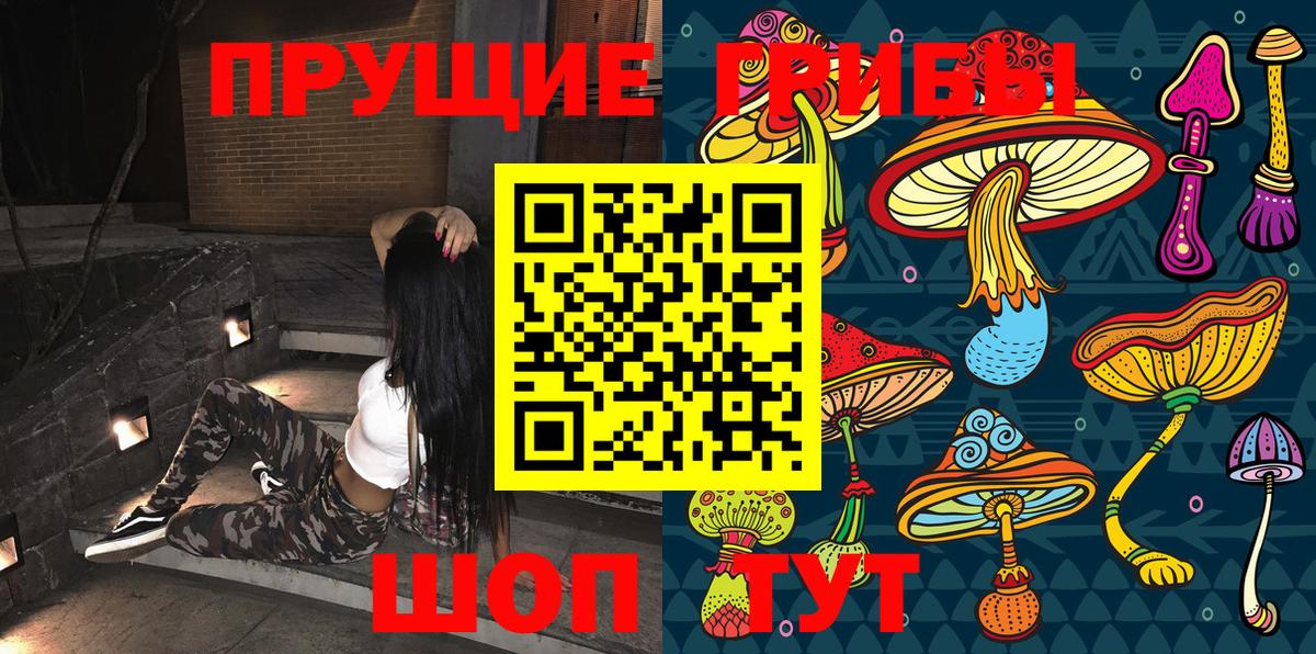 Галлюциногенные грибы Cubensis  Вход с VPN  Магадан  Псилоцибиновые грибы Psilocybe 