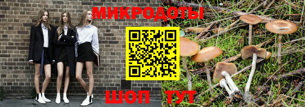 Псилоцибиновые грибы мухоморы Магадан