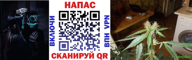 omg онион  Магадан  МАРИХУАНА индика 
